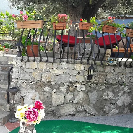 Tjs Fethiye Ölüdeniz